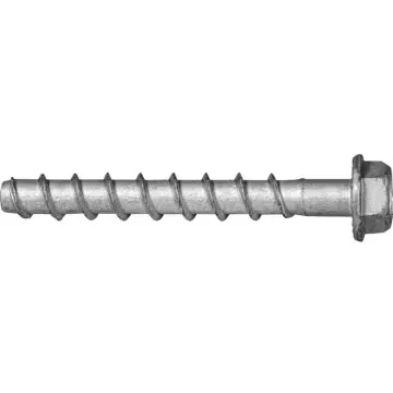 APOLO MEA TORAB CON T M6x55