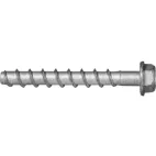 APOLO MEA TORAB CON T M6x55